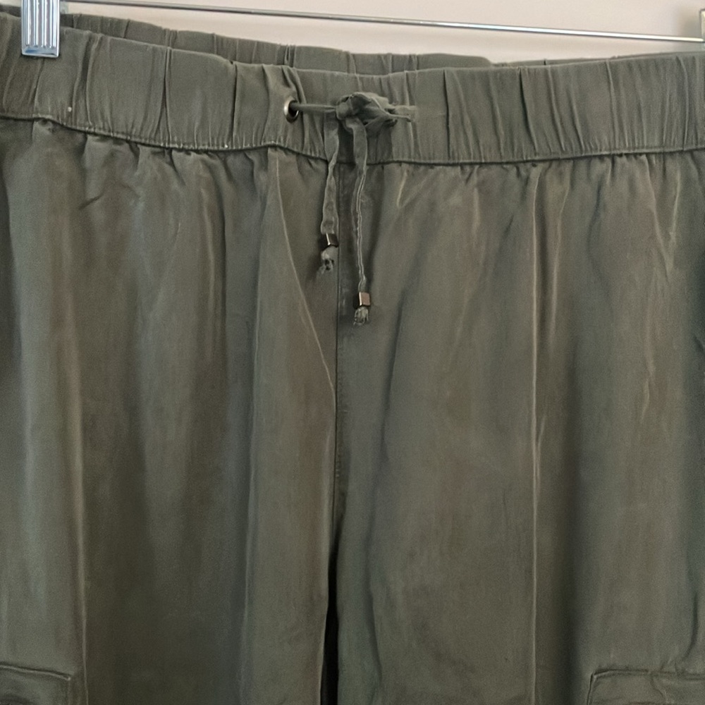 Banana republic Olive Cargo Pants, size Large petite - Picture 1 of 9